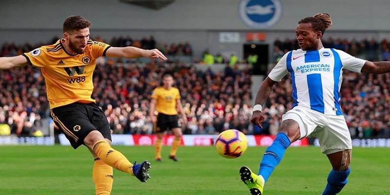 Soi kèo trận đấu giữa Brighton vs Wolves