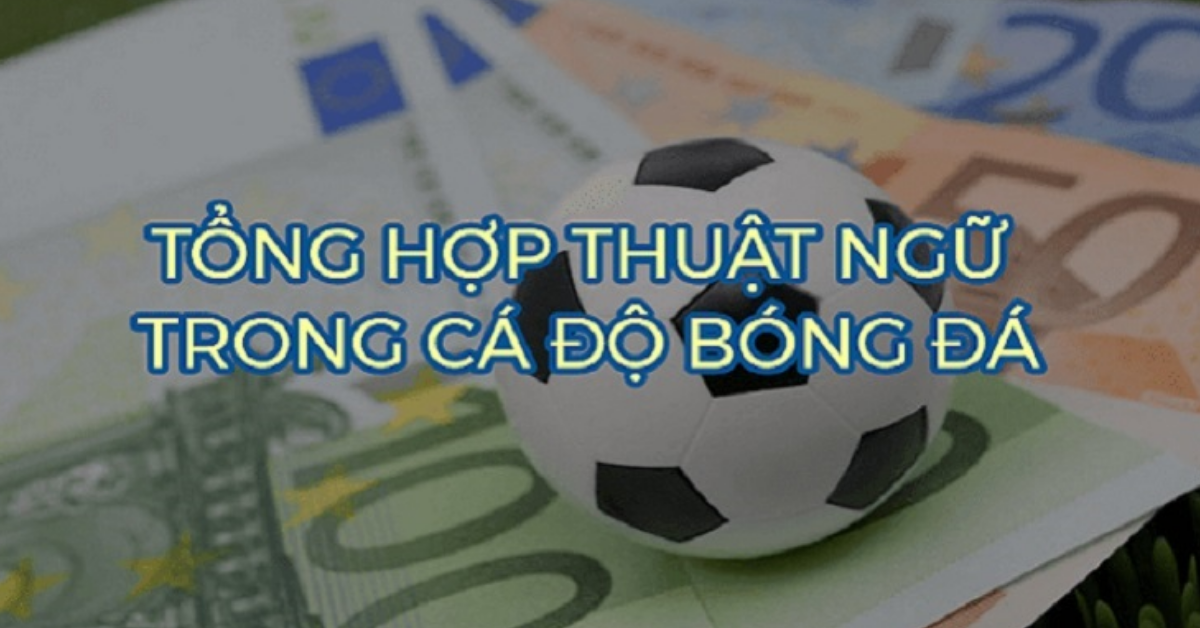 Tổng hợp các thuật ngữ cơ bản trong cá độ bóng đá