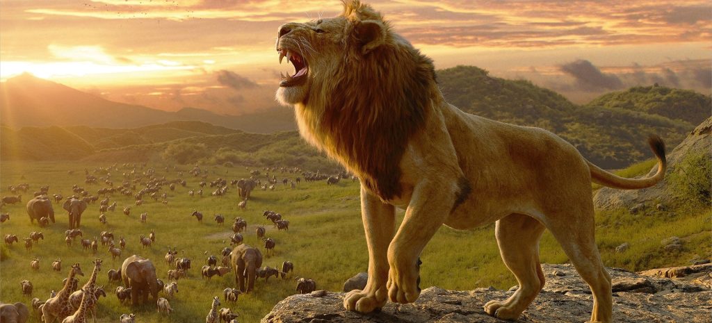 Mơ thấy sư tử nên đánh con gì?