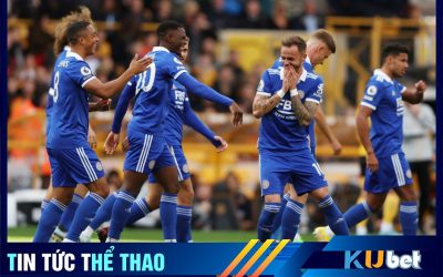 Leicester được dự đoán là sẽ chia tay rất nhiều cầu thủ trong kỳ chuyển nhượng mùa hè này.