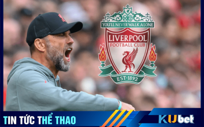 The Kop lọc máu , nâng cấp đội hình