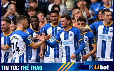 Brighton được thưởng vì tấm vé dự Europa League.