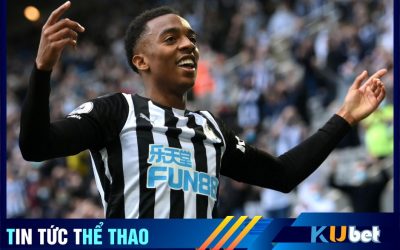 Joe Willock cũ người mới ta bùng nổ tại Newcastle. (kubet cập nhật )