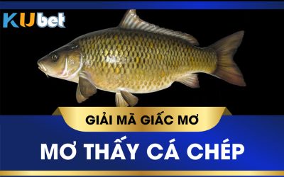 Mơ thấy cá chép đánh con gì?