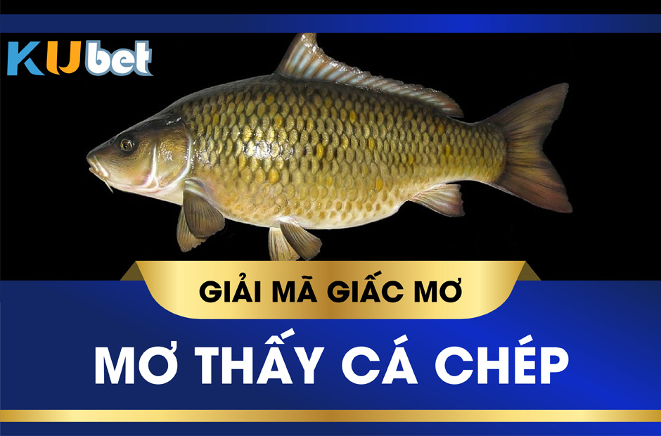 Mơ thấy cá chép đánh con gì?