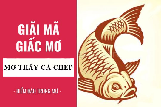 Mơ thấy cá chép đánh con gì?