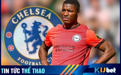 Caicedo được Chelsea nhắm đến như một lựa chọn hàng đầu cho vị trí tiền vệ