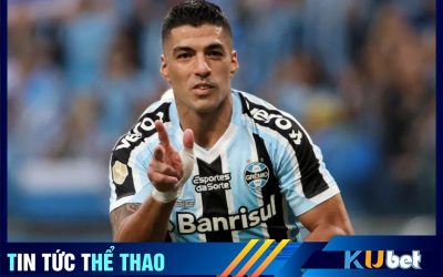 Suarez khẳng định ở lại Gremio đến hè 2024.