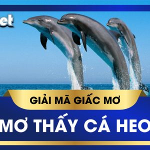 KUBET GIẢI MÃ GIẤC MƠ THẤY CÁ HEO, BÍ QUYẾT ĐÁNH SỐ ĐỀ BAO THẮNG