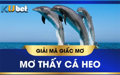 Ý nghĩa về giấc mơ thấy cá heo