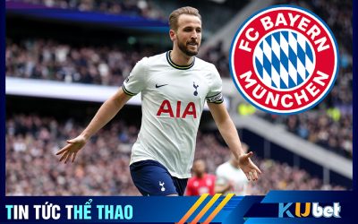 Harry Kane được rất nhiều các chuyên gia bóng đá khuyên nên đến Bayern Munich