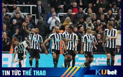 Newcastle có bước chuyển mình mạnh mẽ ở mùa giải 2022/23.