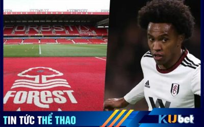 Willian nhiều khả năng sẽ là người của Nottingham Forest.