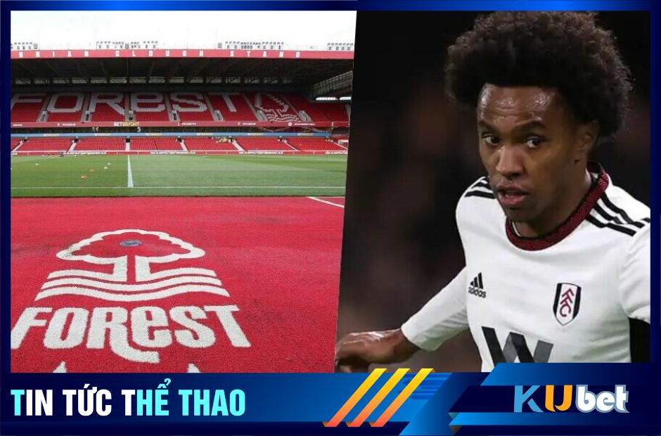 Willian nhiều khả năng sẽ là người của Nottingham Forest.