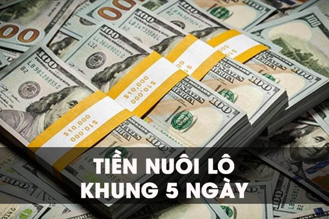 Đôi nét về hình thức nuôi lô cặp theo khung 5 ngày