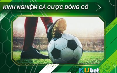 Bóng cỏ là gì? Kinh nghiệm đánh bóng cỏ của các cao thủ