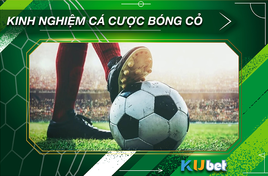 Bóng cỏ là gì? Kinh nghiệm đánh bóng cỏ của các cao thủ