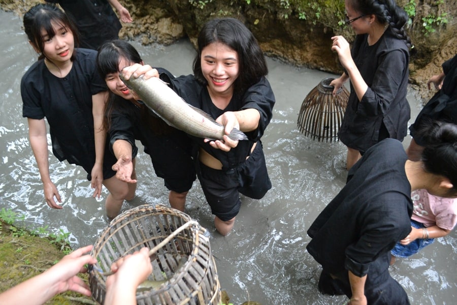 Bắt cá trong ao tài lộc đầy nhà