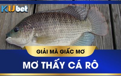 KUBET GIẢI MÃ GIẤC MƠ THẤY CÁ RÔ, ĐIỀM BÁO LÀNH HAY DỮ? ĐÁNH CON GÌ?