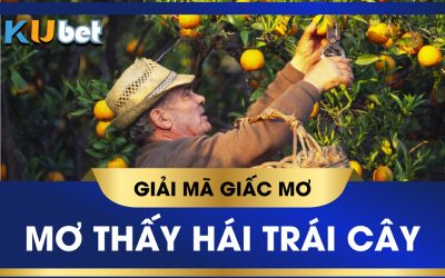 KUBET GIẢI MÃ GIẤC MƠ HÁI TRÁI CÂY LÀ ĐIỀM LÀNH HAY DỮ, ĐÁNH SỐ GÌ?