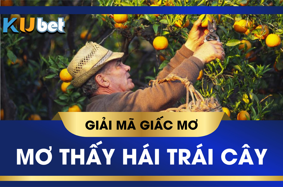 KUBET GIẢI MÃ GIẤC MƠ HÁI TRÁI CÂY LÀ ĐIỀM LÀNH HAY DỮ, ĐÁNH SỐ GÌ?