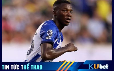 Caicedo công khai muốn ra đi trước ban lãnh đạo Brighton cách đây ít hôm