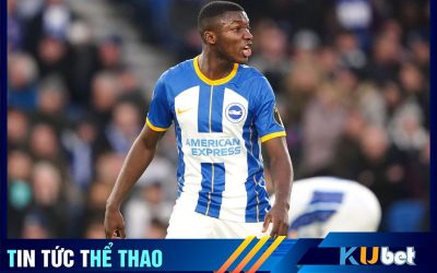 Caicedo công khai muốn rời khỏi Brighton trong mua mùa hè này