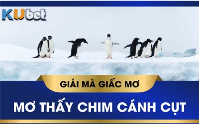 KUBET GIẢI MÃ GIẤC MƠ THẤY CHIM CÁNH CỤT VÀ CON SỐ MAY MẮN LIÊN QUAN