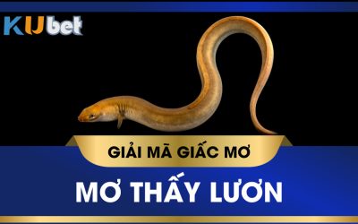 KUBET GIẢI MÃ GIẤC MƠ THẤY LƯƠN, ĐIỀM BÁO TỐT XẤU LIÊN QUAN