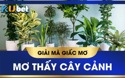 KUBET GIẢI MÃ GIẤC MƠ THẤY CÂY CẢNH ĐEM LẠI ĐIỀM BÁO LÀNH HAY DỮ?