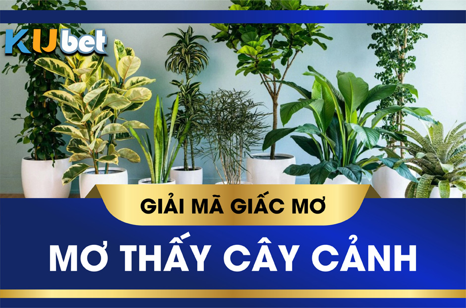 KUBET GIẢI MÃ GIẤC MƠ THẤY CÂY CẢNH ĐEM LẠI ĐIỀM BÁO LÀNH HAY DỮ?