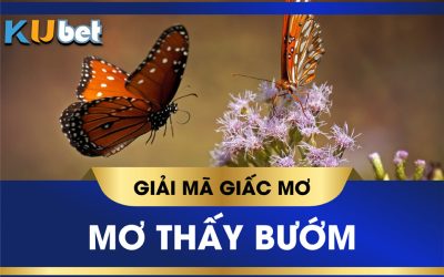 GIẢI MÃ GIẤC MƠ THẤY BƯỚM BÁO HIỆU ĐIỀU SẮP ĐẾN VÀ CON SỐ LIÊN QUAN