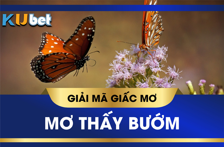 GIẢI MÃ GIẤC MƠ THẤY BƯỚM BÁO HIỆU ĐIỀU SẮP ĐẾN VÀ CON SỐ LIÊN QUAN