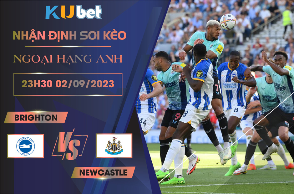 Kubet cập nhật trận đấu giữa Brighton vs Newcastle.