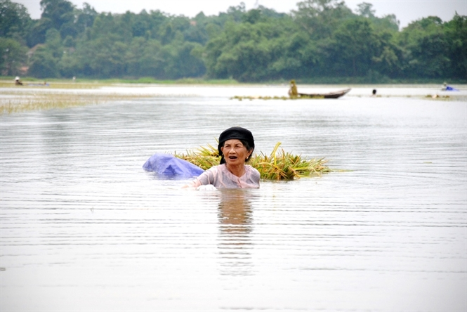 Mơ nước ngập xung quanh mình