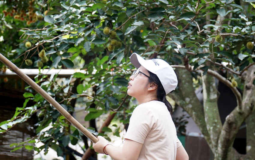 Ngủ mộng thấy hái toàn bộ trái xanh trên cây