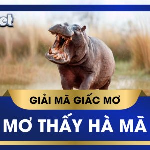 KUBET GIẢI MÃ GIẤC MƠ THẤY HÀ MÃ ĐÁNH CON GÌ TRÚNG LỚN
