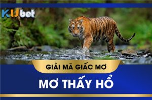 KUBET GIẢI MÃ GIẤC MƠ THẤY HỔ CẢNH BÁO ĐIỀM TỐT HAY XẤU, CON SỐ TÀI LỘC
