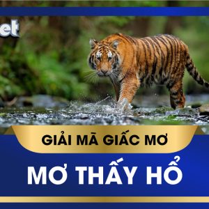 KUBET GIẢI MÃ GIẤC MƠ THẤY HỔ CẢNH BÁO ĐIỀM TỐT HAY XẤU, CON SỐ TÀI LỘC