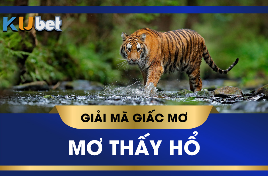 KUBET GIẢI MÃ GIẤC MƠ THẤY HỔ CẢNH BÁO ĐIỀM TỐT HAY XẤU, CON SỐ TÀI LỘC