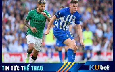 Evan Ferguson của Brighton có thể là câu trả lời cho Arteta - Kubet cập nhật