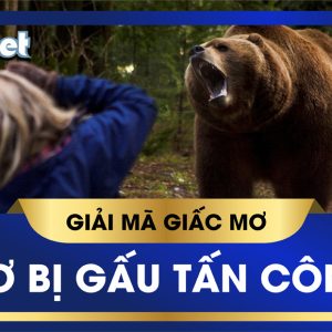 KUBET GIẢI MÃ GIẤC MƠ BỊ GẤU TẤN CÔNG, ĐIỀM BÁO LÀNH HAY DỮ, ĐÁNH CON GÌ?